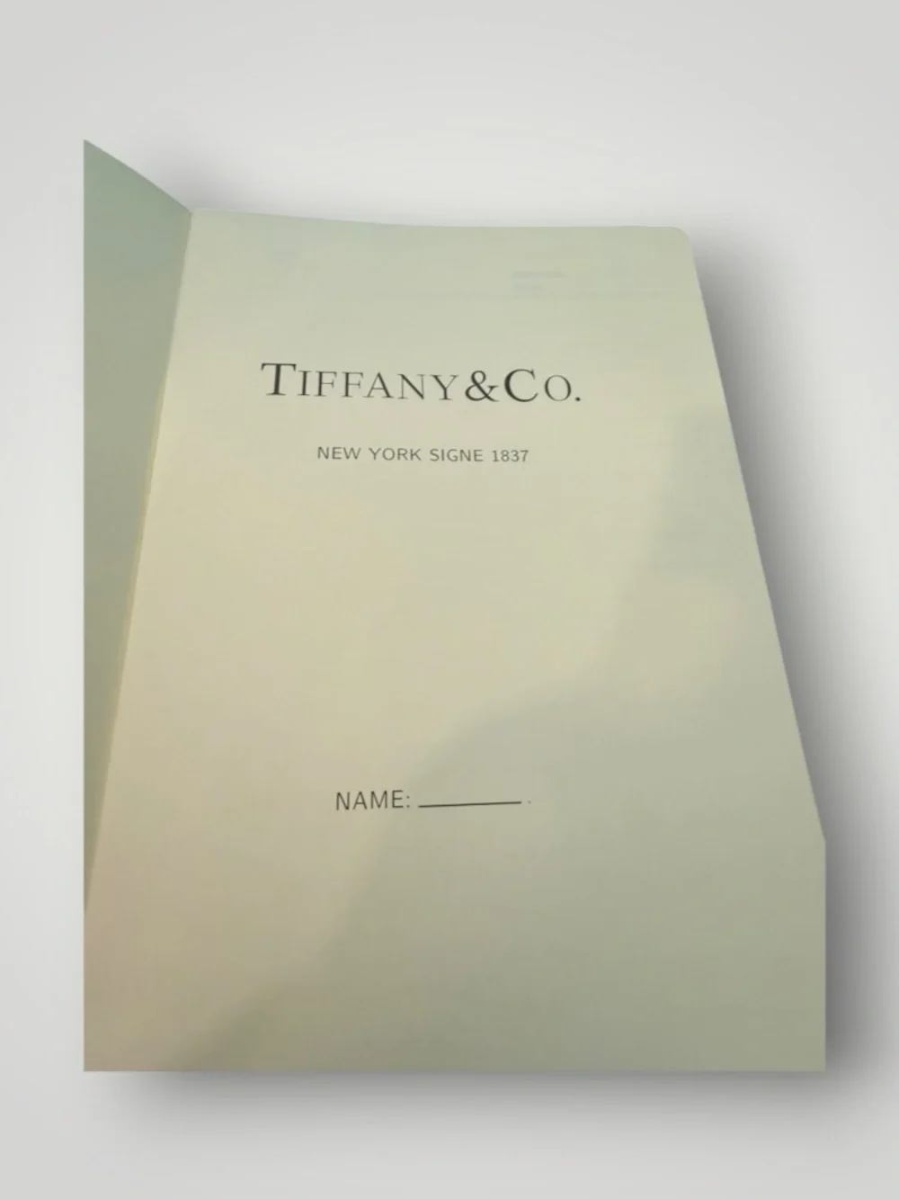 Source Unknown Teal and White Faux Leather Notebook with Gold Ring Closure